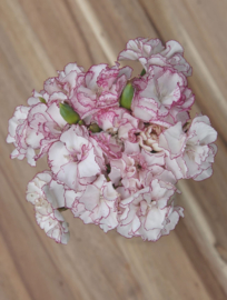 Bloemenzaad - Liefs Zaaien - Veer & Moon