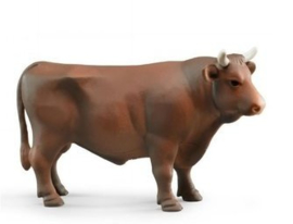 U02309 Stier