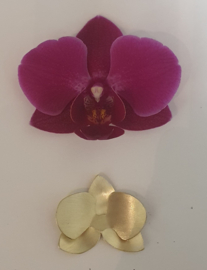 Orchidee van goud