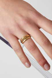 Ring  layered spiral  goud