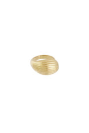 Ring dynamic texture