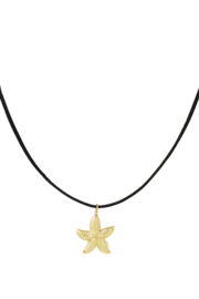 Ketting stainless steel goud ster