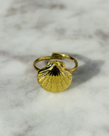 Stainless steel ring goudkleurig schelp    – verstelbaar