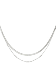 Ketting stainless steel dubbel effen/staafjes zilver