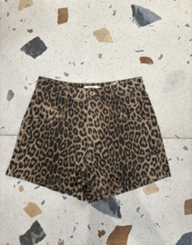 Short Sohan leopard