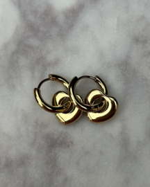 Stainless steel hangend hartje