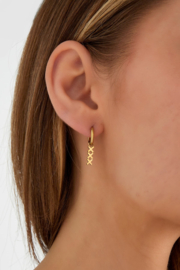 Hangoorbellen stainless steel xxxx goud