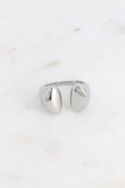 ring stainless steel zilver elena