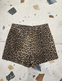 Short Sohan leopard