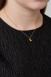 Ketting cherry   goud