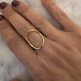 Ring Jill goud