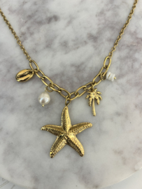 Ketting stainless steel lang zeester goud