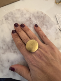 Stainless steel ring goudkleurig nelle   – verstelbaar