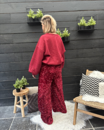 Broek Violet Glitter bordeaux