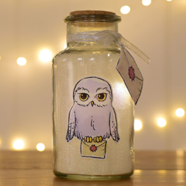 Harry Potter Fles lamp, Hedwig