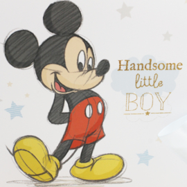 'Disney Mickey' Foto album, 'Magical Beginnings'