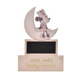'Disney Minnie' Aftel plaque