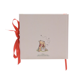 Disney Pooh First Photo's foto album