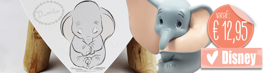 Disney baby spullen zijn voor iedereen leuk