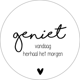 Muurcirkel Geniet 20 cm