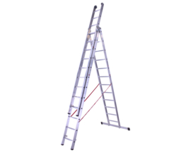 Euroline ladder 3 x 12