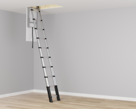 Telesteps Vlizo Trap
