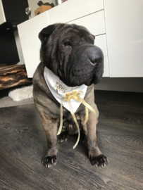 Honden bandana Ring Bearer