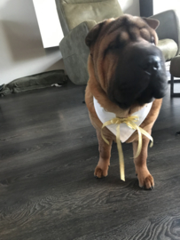 Honden bandana Ring Bearer