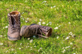 Wandelen met Franciscus, 14 april, Oosterwolde