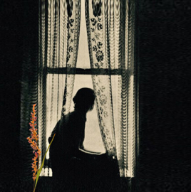 woman in window