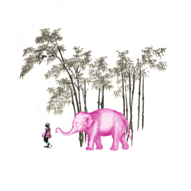 friends with the pink elephant