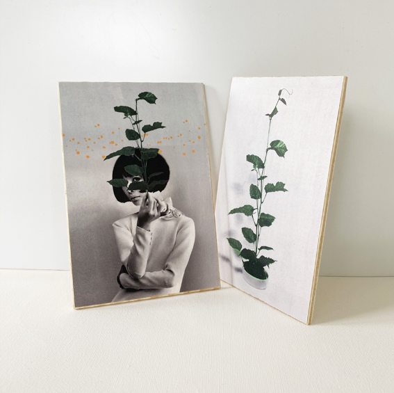 a plant&vintage plant