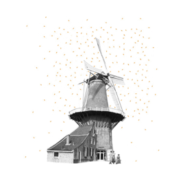 molen de roos - grains