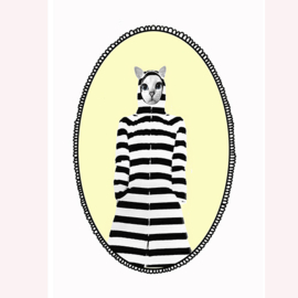 cat stripe cart