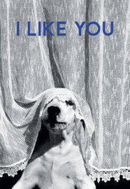 like you