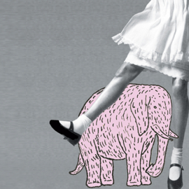 ignore the pink elephant