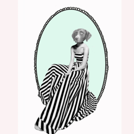 dog stripe cart