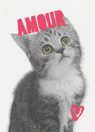 amour
