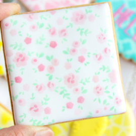 Woensdag 17 juni 10:00 workshop gebruik van airbrush en stencils op koekjes