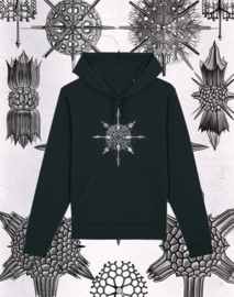 Haeckel Sweater: Acanthophracta