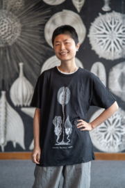 Haeckel T-Shirt: Cystoidea