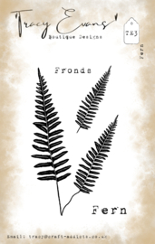 TE3 - Fern - A7