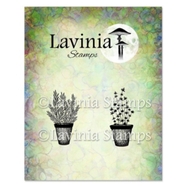 Rosemary & Thyme Pots Stamp