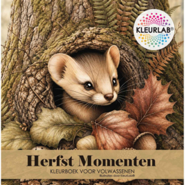 Herfst Momenten