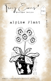 TE1 - Alpine Plant - A7