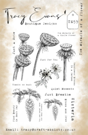 The Miracle Of A Flower A5 Stamp (TE059)