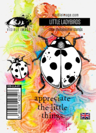 Little Ladybirds A7 Stamp Set