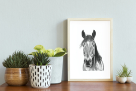 Poster Paard