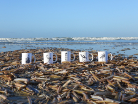 Mokkenset 5st Waddenvogels