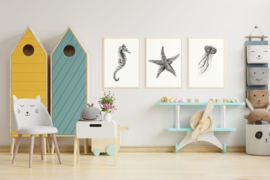Kinderkamer poster - Zeester - Zeepaard - Kwal